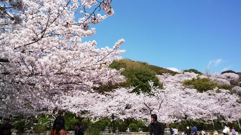 🦁 이케다 동물원 이미지 9